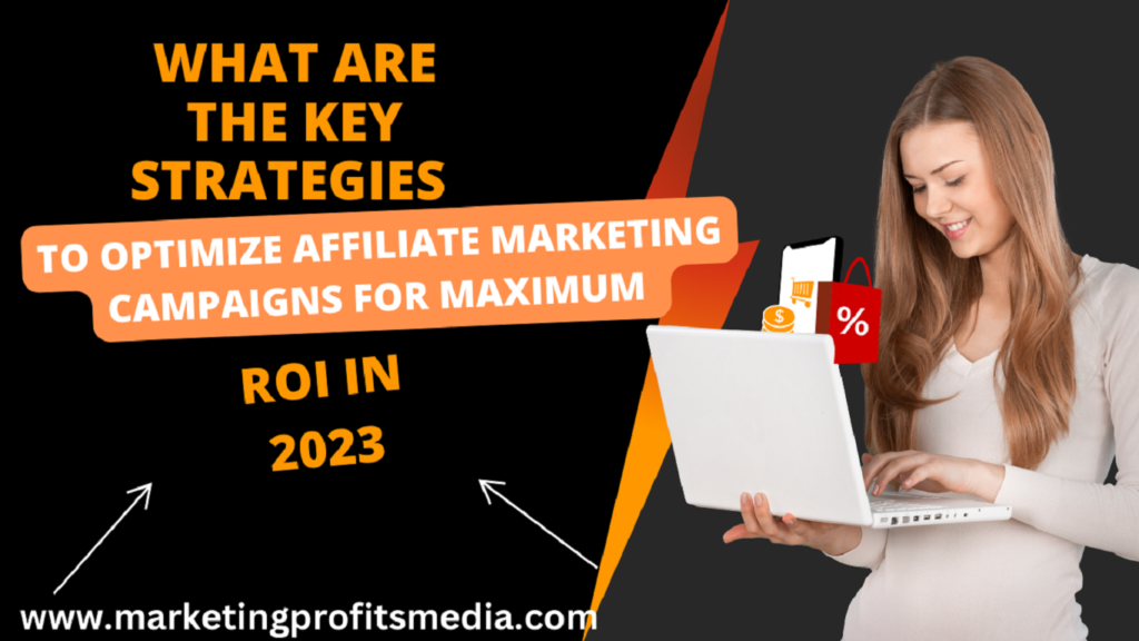 What are the key strategies to optimize affiliate marketing campaigns for maximum ROI in 2023