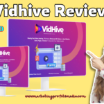 Vidhive Review - Create Unlimited Playlists & Channels